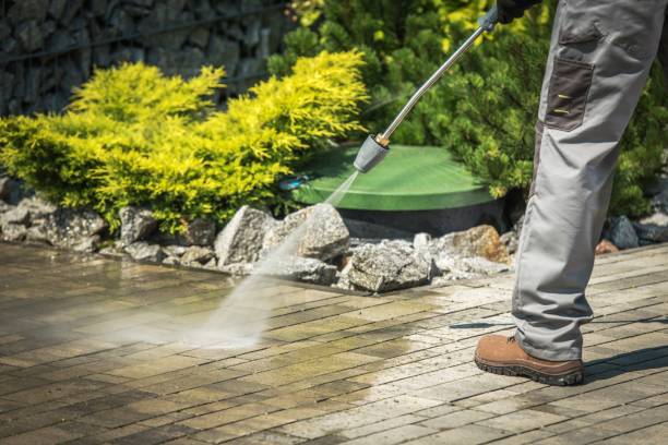 Best Dumpster Area Cleaning  in De Motte, IN
