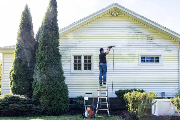 Best Solar Panel Cleaning  in De Motte, IN